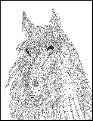 Kolorowanka kwiatowa głowa konia